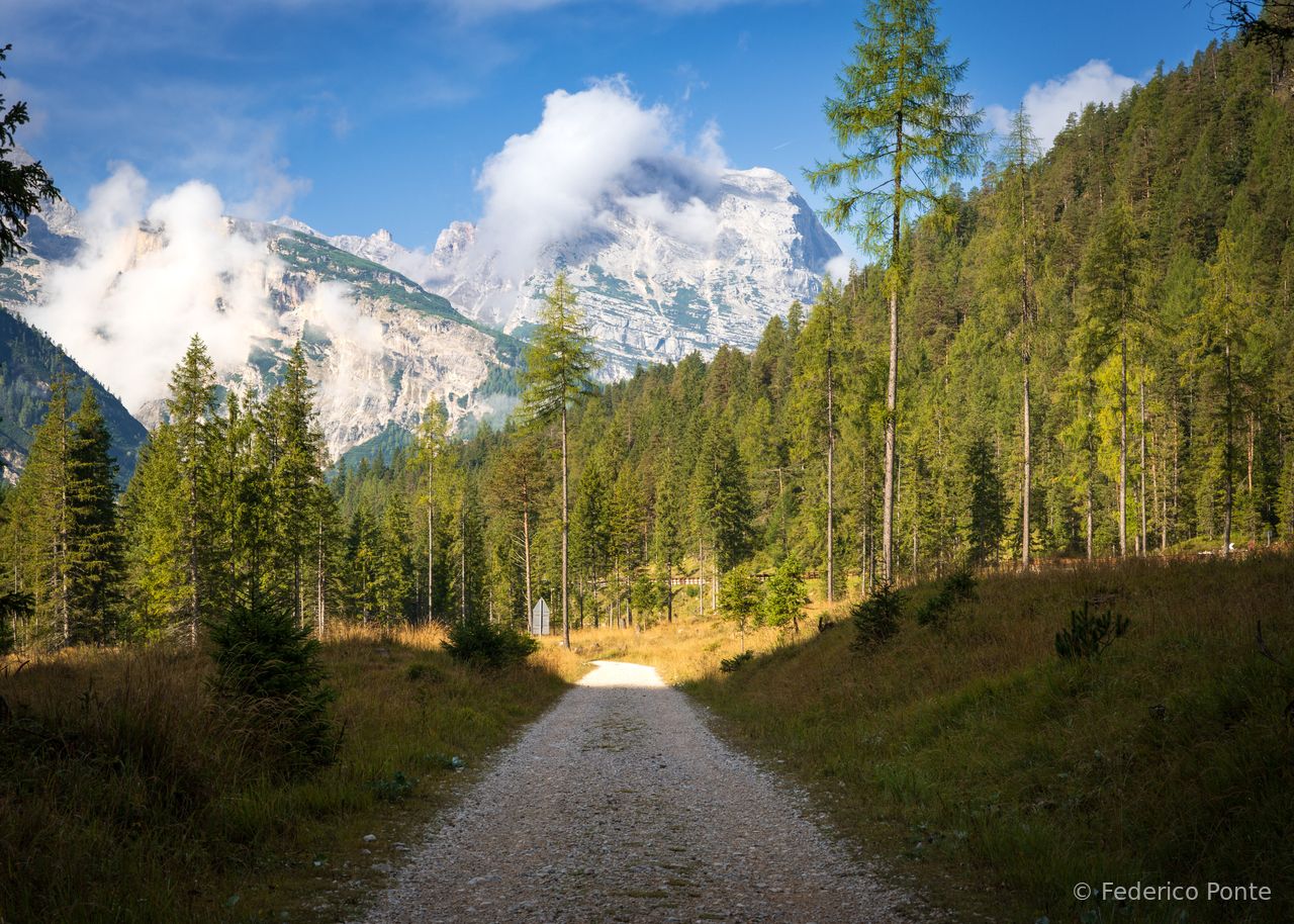 DSC09655